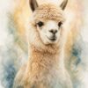 アルパカ 水彩 パワーアニマルアート